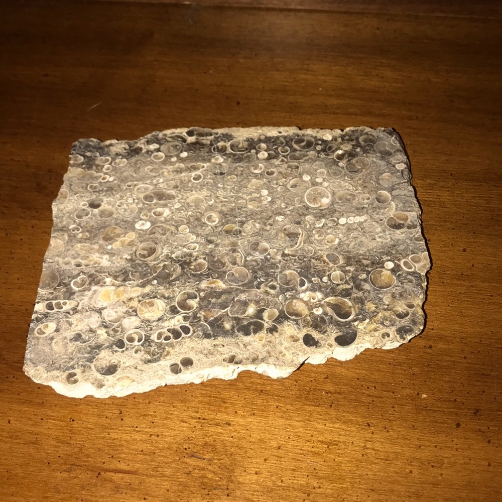 Turritella agate, (great for jewelry making)